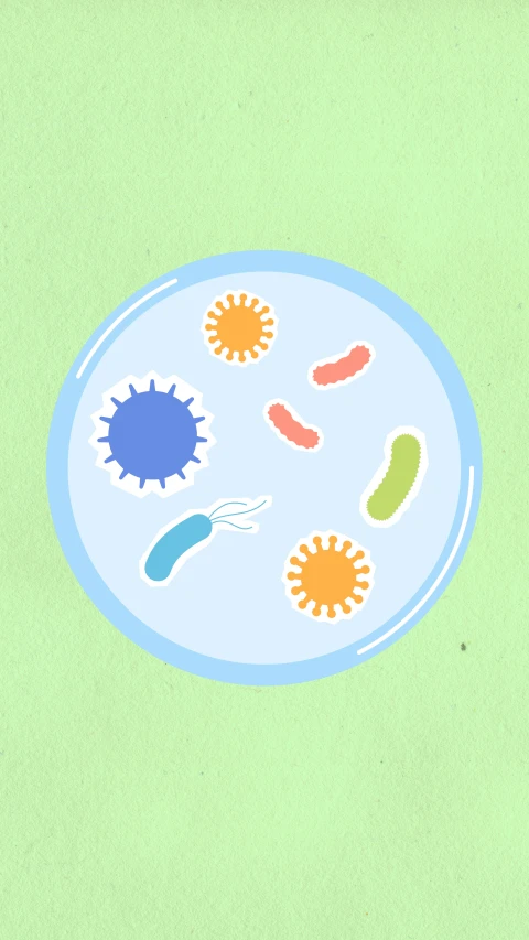 a plate with different types of food on it, an illustration of, by Rachel Reckitt, bacteria, shields, screensaver, clear clean