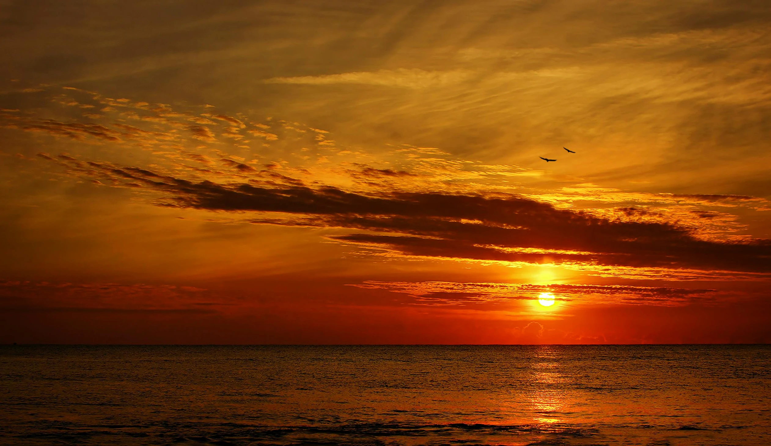 a sunset over the ocean with birds flying in the sky, by Jan Tengnagel, pixabay contest winner, yellow and red, late summer evening, today\'s featured photograph 4k, infinite