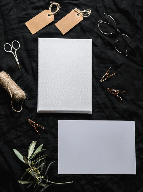 a pair of scissors, twine of twine of twine of twine of twine of twine of twine of twine, poster art, inspired by Eden Box, unsplash contest winner, silver silver glasses, lacquer on canvas, product introduction photo, smokey burnt envelopes