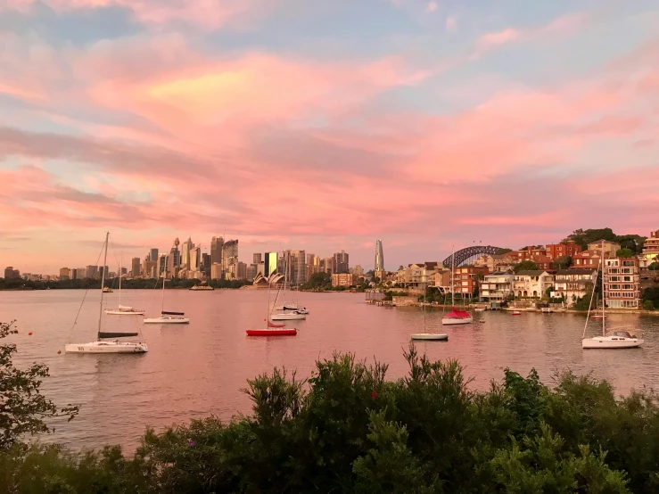 a group of boats floating on top of a body of water, by Sydney Carline, pexels contest winner, vista of a city at sunset, pink hues, al fresco, sydney park