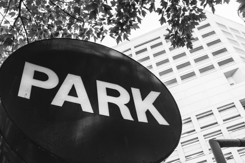 a black and white photo of a parking sign, a black and white photo, by Adam Rex, unsplash, city park, square, bark, linkin park