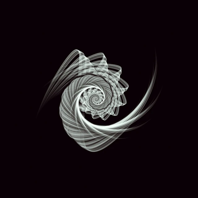 a spiral design on a black background, generative art, sea shell, made out of shiny white metal, art illustration, digital graphic art