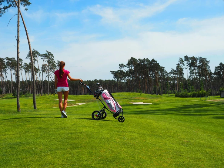 a woman pushing a golf cart on a golf course, by Sebastian Spreng, pexels contest winner, square, panoramic view of girl, seasonal, small