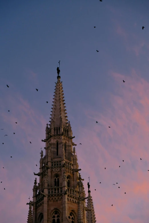 a tower with a lot of birds flying around it, a photo, inspired by Mihály Munkácsy, pexels contest winner, baroque, pastel sky, gothic cathedral, buenos aires, late summer evening