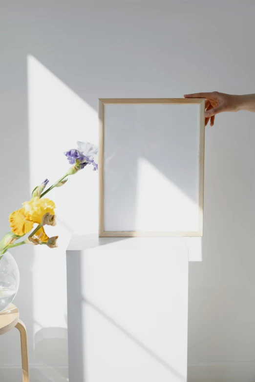 a person holding a picture frame next to a vase of flowers, a poster, by Eva Frankfurther, trending on unsplash, visual art, ethereal back light, white backdrop, on a wooden tray, sunny light