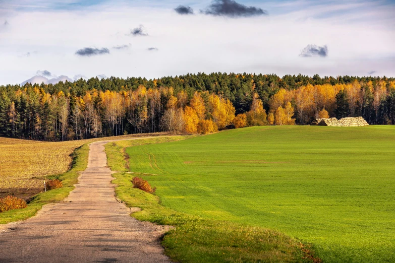 a dirt road in the middle of a green field, by Jesper Knudsen, pexels contest winner, color field, fall foliage, alvar aalto, russian village, looking partly to the left