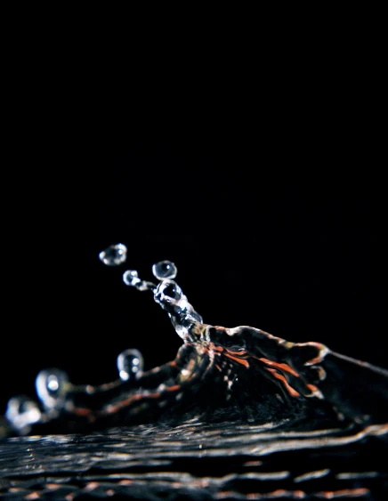 a splash of water on top of a black surface, a macro photograph, by Adam Chmielowski, unsplash, profile image, promo image