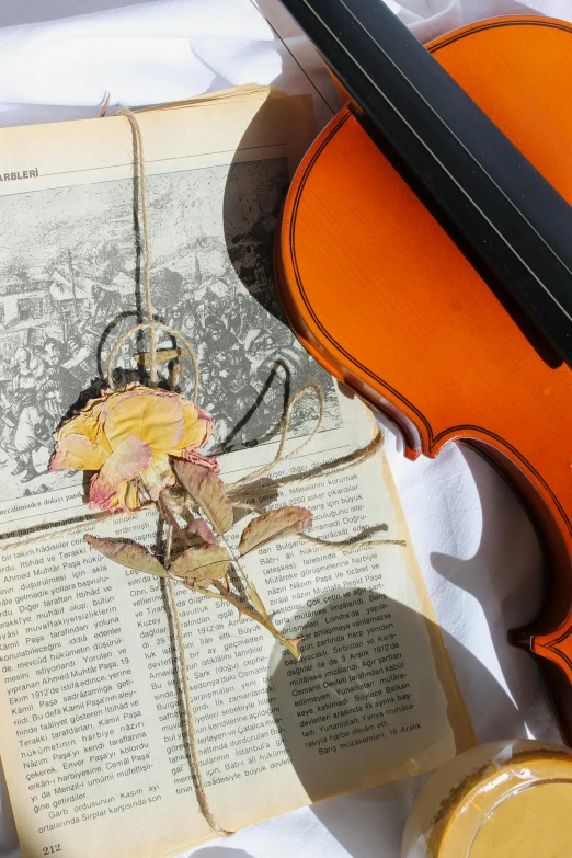 a violin sitting on top of an open book, an album cover, inspired by Franz von Lenbach, summer sunlight, paper, books and flowers, detail