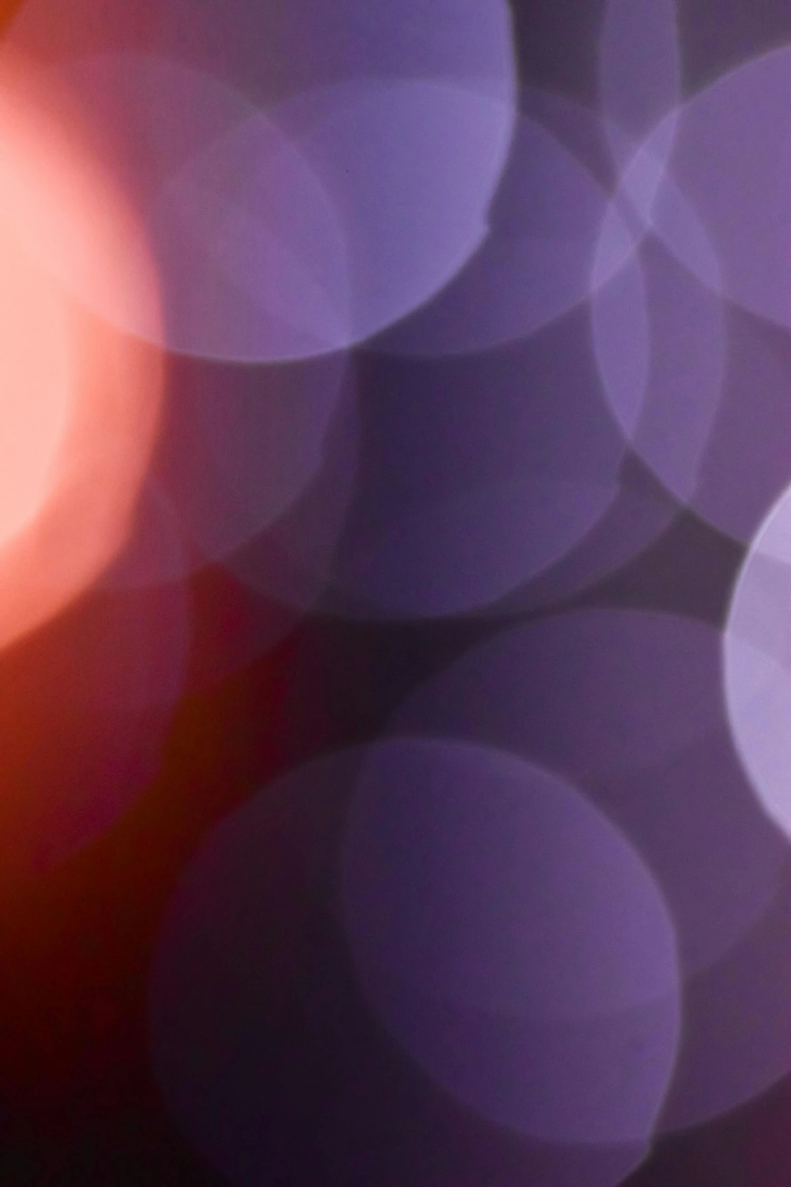 a close up of a bunch of blurry lights, a picture, by Jan Rustem, lyrical abstraction, red purple gradient, circles, ilustration, soft light - n 9