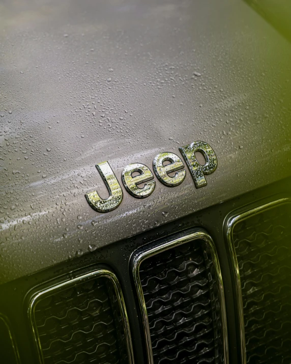 a close up of the hood of a green jeep, a picture, unsplash, best photo, color image, octane render”, background image