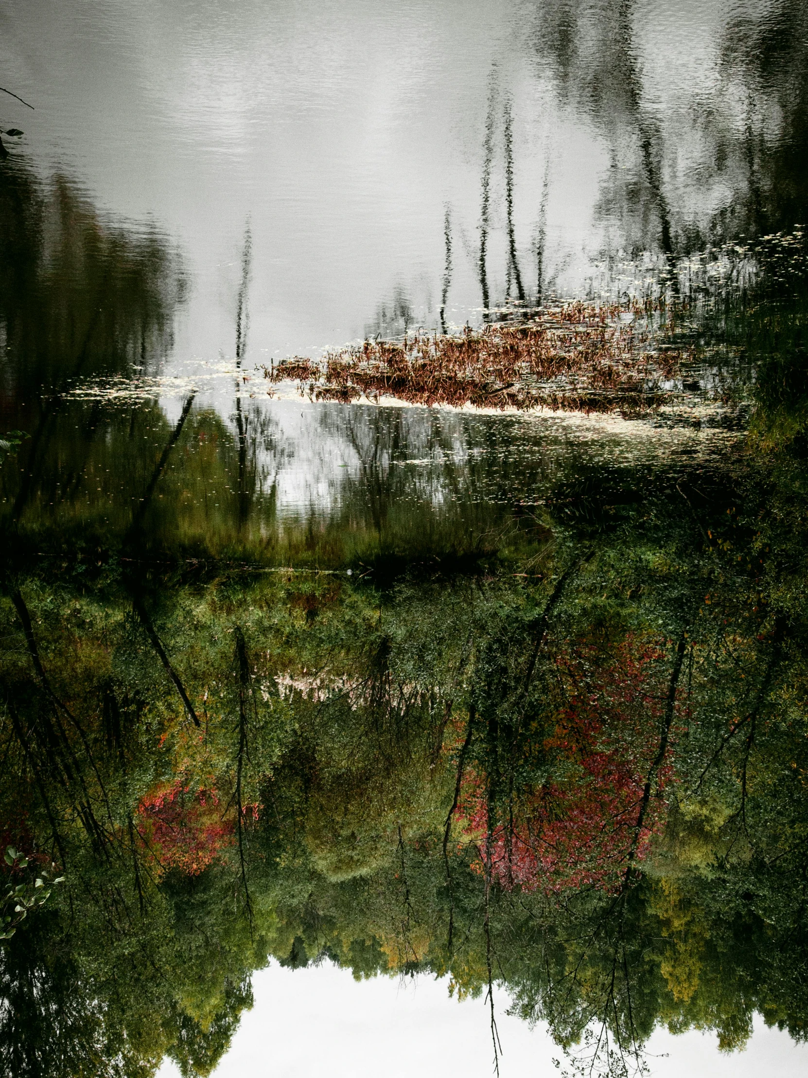 a large body of water surrounded by trees, inspired by Chris Friel, lyrical abstraction, green and red tones, autumn overgrowth, ignant, surrealism - n 9