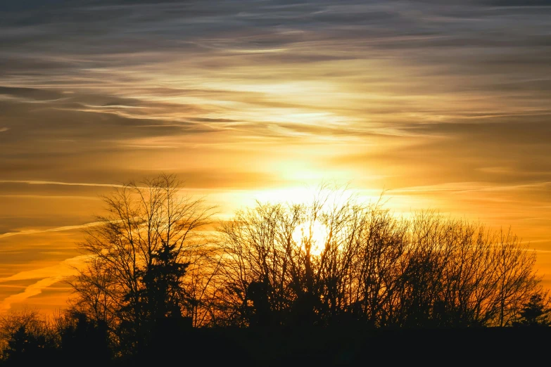 the sun is setting behind some trees, pexels contest winner, shades of gold display naturally, skyscape, 1 2 9 7, crisp lines