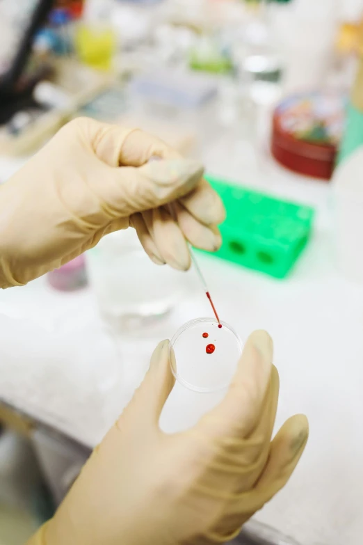 a person in a lab holding a tube of blood, blood drop, plating, red ink, colour corrected
