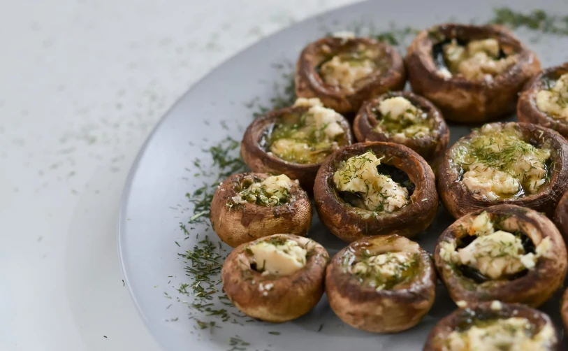 a plate of stuffed mushrooms on a table, inspired by Géza Dósa, unsplash, hurufiyya, shiny crisp finish, square, thumbnail, green