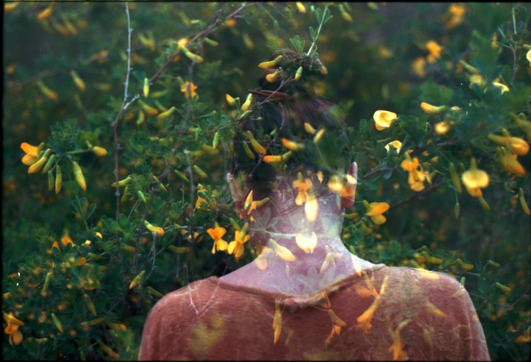 a woman standing in a field of yellow flowers, an album cover, by Nathalie Rattner, pexels, conceptual art, seen through broken glass, still from film, covered in leaves, branches sprouting from her head