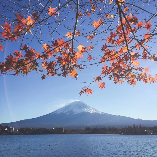 a large body of water with a mountain in the background, a picture, trending on unsplash, ukiyo-e, red leaves on the ground, mount doom, 🚿🗝📝, 🦩🪐🐞👩🏻🦳