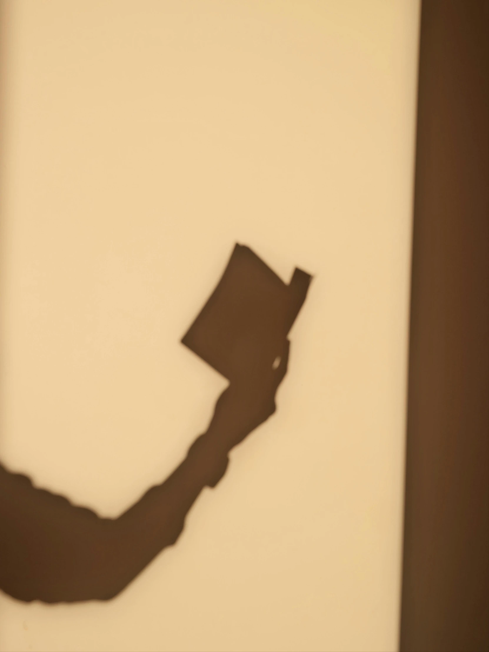 a shadow of a man holding a book, inspired by Suzanne Duchamp-Crotti, accidentally taking a selfie, ((rust)), cut-scene, profile picture 1024px