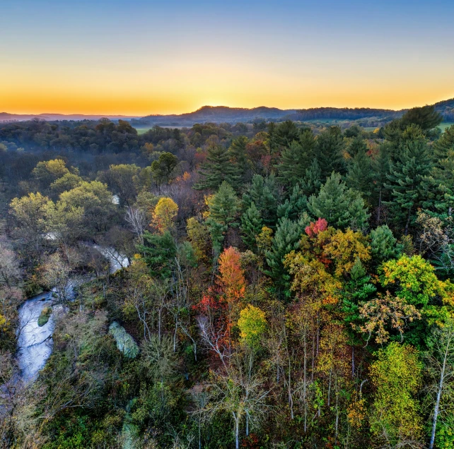 a river running through a lush green forest, a picture, by Neil Blevins, unsplash contest winner, hudson river school, sunset with falling leaves, wide aerial shot, tall purple and pink trees, overlooking a valley with trees