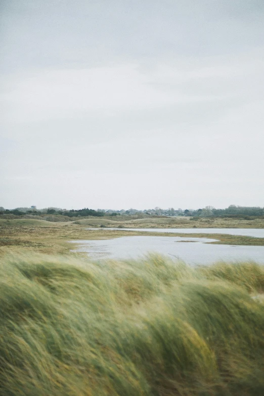 a field of grass next to a body of water, a picture, unsplash, visual art, windy beach, distant villagescape, medium format, northern france