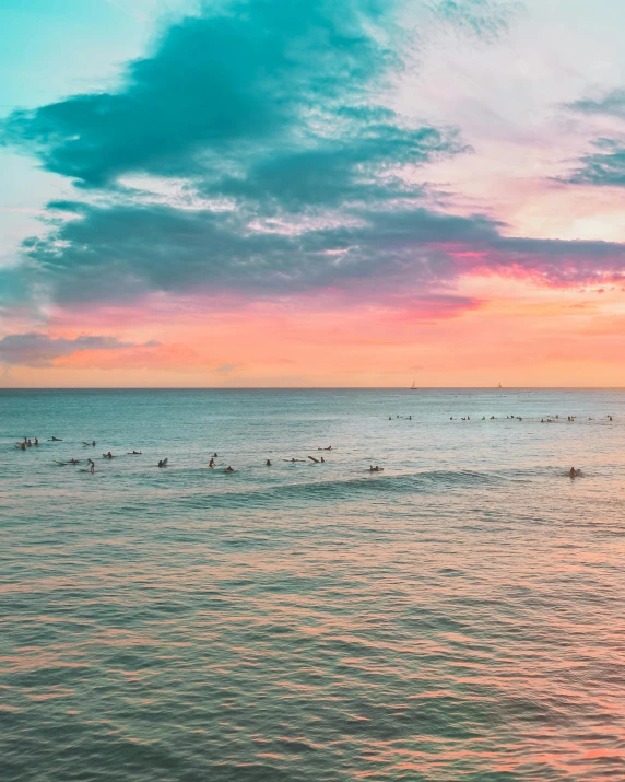 a group of people riding surfboards on top of a body of water, the sky is pink, as far as the eye can see