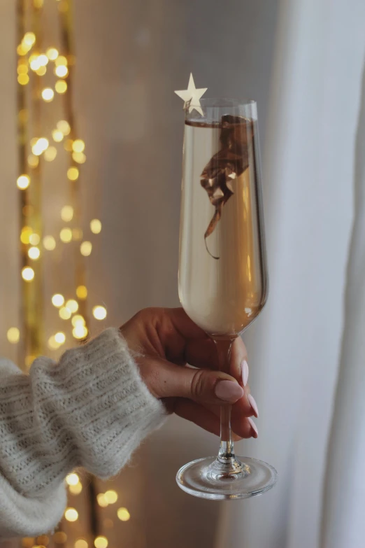 a close up of a person holding a wine glass, inspired by Jacopo Bellini, with big starfish, cozy lights, champagne, wintertime