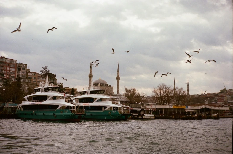 a group of boats floating on top of a body of water, by irakli nadar, pexels contest winner, hurufiyya, ottoman sultan, birds flying in the distance, harbour, cypresses