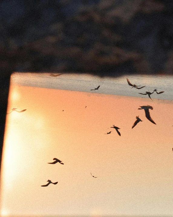 a laptop computer sitting on top of a sandy beach, an album cover, by Attila Meszlenyi, trending on pexels, happening, swarm of bats, refracted sunset, moths, crows