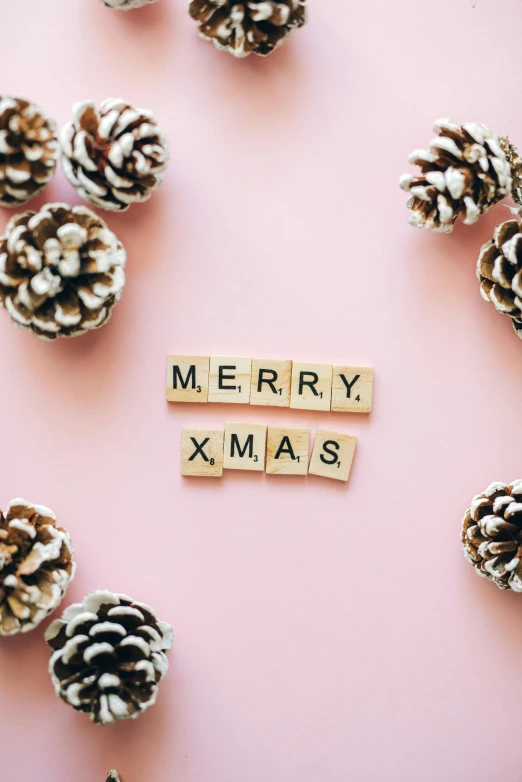 wooden letters spelling merry xmas surrounded by pine cones, by Julia Pishtar, romanticism, pastel pink, thumbnail, small, kpop