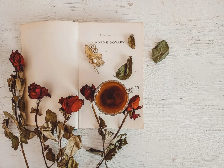 an open book sitting on top of a table next to a cup of tea, a still life, pexels contest winner, romanticism, rose-brambles, thumbnail, minimalistic composition, lecherous pose