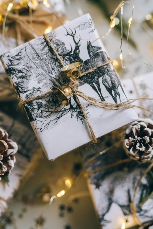 presents wrapped in black and white paper with twine of twine and pine cones, pexels contest winner, arts and crafts movement, intricate ink painting detail, a wide full shot, white with gold accents, gif