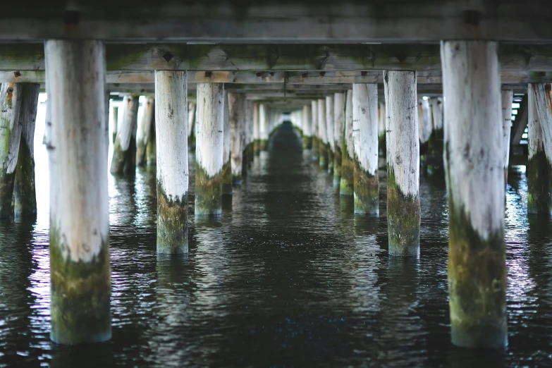 a long wooden bridge over a body of water, inspired by Elsa Bleda, unsplash, pillars on ceiling, sewer, barnacle, full frame image