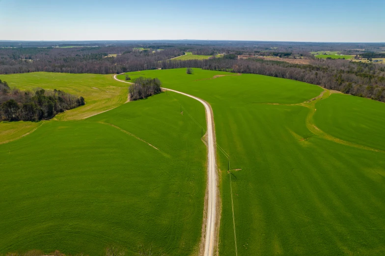 a dirt road running through a lush green field, by Daniel Seghers, pexels contest winner, land art, 360 foot wingspan, overview, near farm, today\'s featured photograph 4k