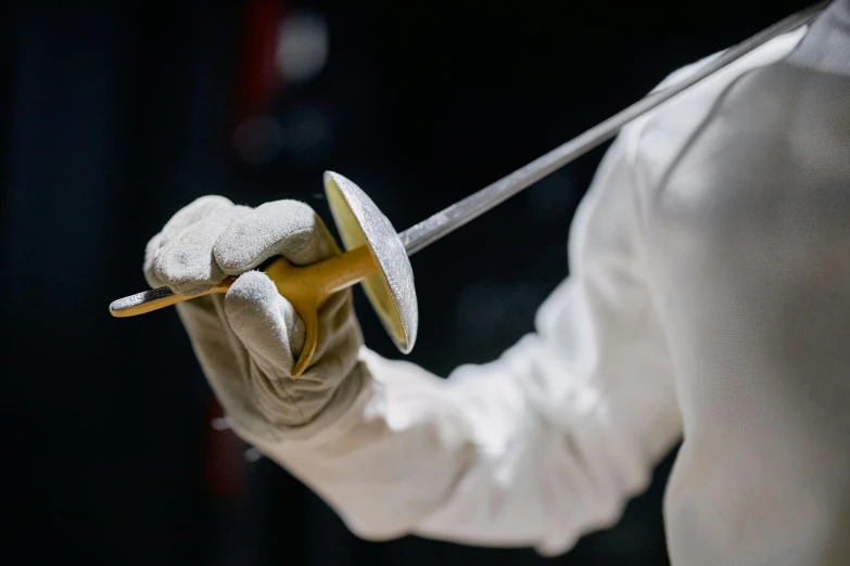 a close up of a person holding a sword, fencing, profile image, sports photo, detailing