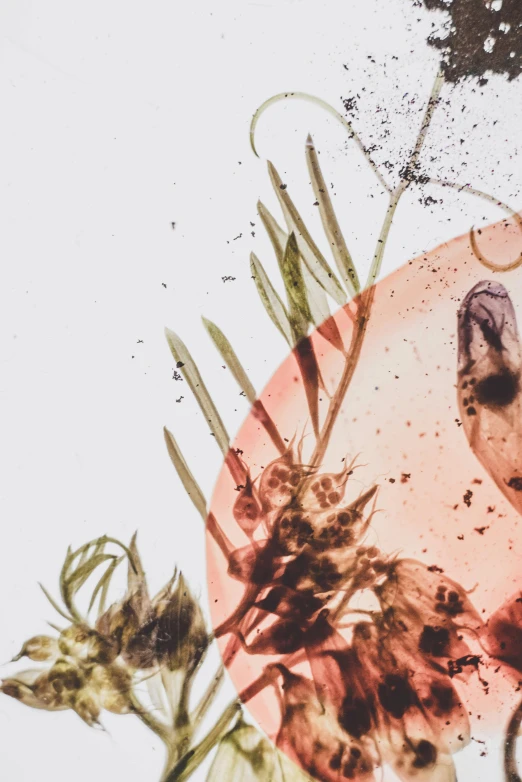 a giraffe standing next to a bunch of flowers, a microscopic photo, by Will Ellis, trending on unsplash, analytical art, transparent glass woman, made of food, shattered abstractions, cannabis leaves