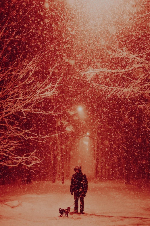 a person walking a dog in the snow, an album cover, inspired by Elsa Bleda, pexels contest winner, strange red particles, epic red - orange moonlight, snowstorm ::5, profile pic