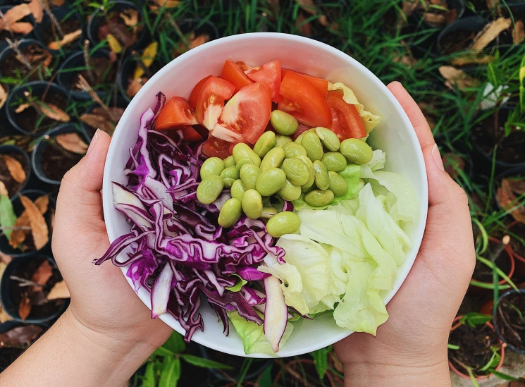 a close up of a person holding a bowl of food, a photo, green and purple, 👰 🏇 ❌ 🍃, salad, avatar image