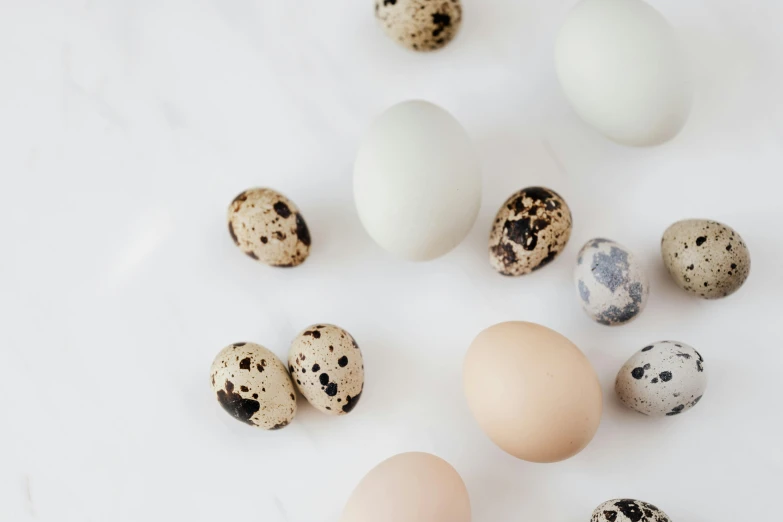 a bunch of eggs sitting on top of a table, trending on pexels, white with black spots, earthy light pastel colours, 🦩🪐🐞👩🏻🦳, mixed animal