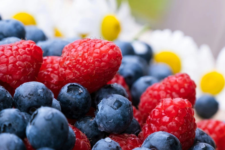 a bowl filled with raspberries and blueberries, pexels, flowers, patriotic, up close, multi - layer