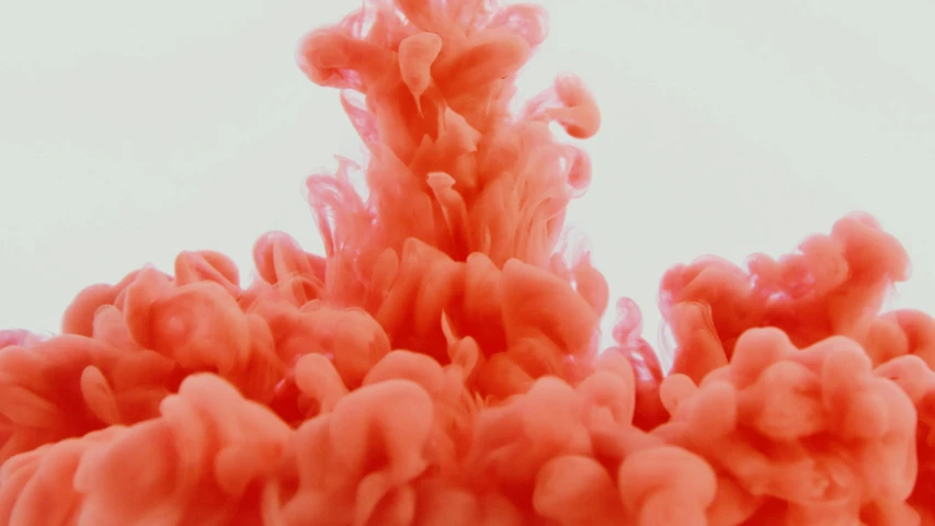 a close up of a red substance in water, a digital rendering, inspired by Alberto Seveso, pexels, flowing salmon-colored silk, smoke grenades, animation style render, instagram post