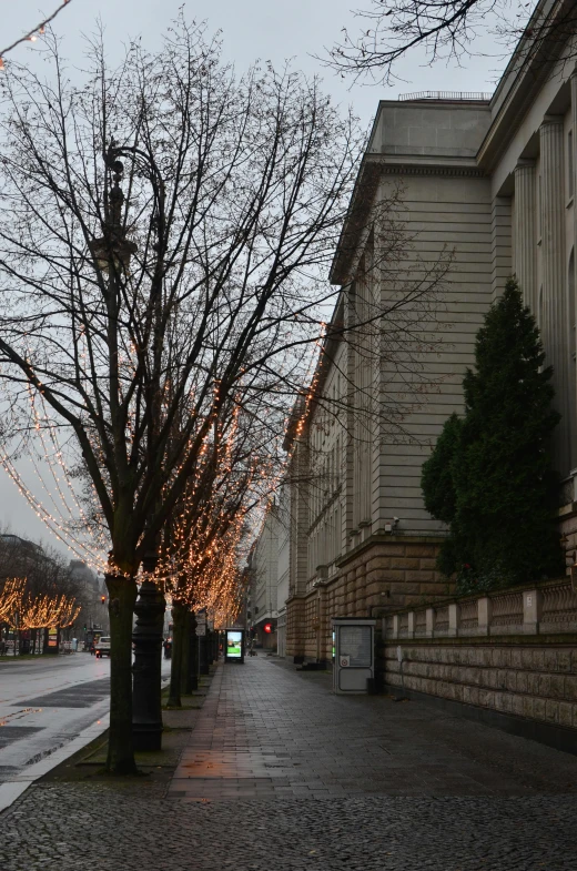 a tree that is sitting on the side of a road, a photo, trending on reddit, berlin secession, classical lighting, white marble buildings, string lights, smithsonian american art museum