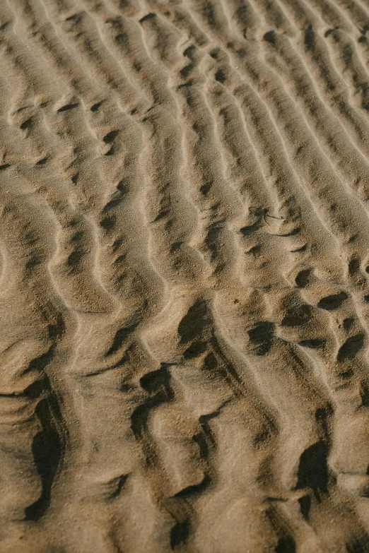 a red fire hydrant sitting on top of a sandy beach, an album cover, unsplash, land art, subtle pattern, folds, brown, sinuous