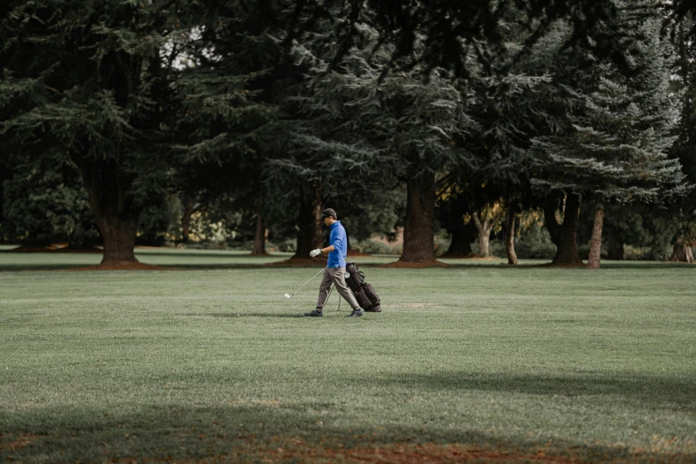 a man walking across a lush green field, a picture, unsplash, golf course, avatar image, clubs, botanic garden