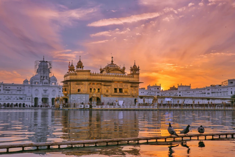 a group of birds sitting on a bench in front of a body of water, a temple, during a sunset