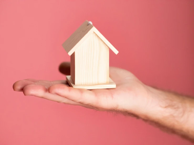 a person holding a small wooden house in their hand, unsplash, pink, flat, graeme base, replica model