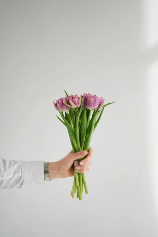 a person holding a bunch of flowers in their hand, subtle purple accents, tulip, large tall, uncrop