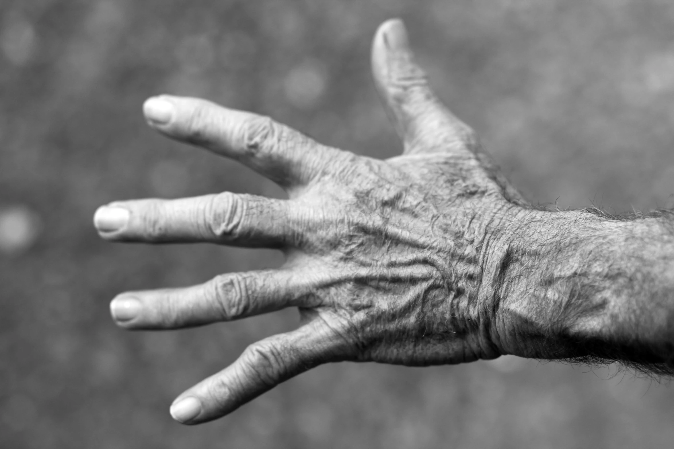 a black and white photo of a person's hands, a stipple, by Kristian Zahrtmann, pexels, an old lady with red skin, huge veins, run down, photo from the side