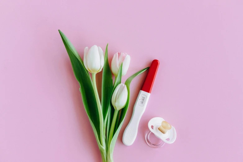 a bouquet of tulips and a thermometer on a pink background, by Julia Pishtar, pexels contest winner, putting on lipgloss, white and red color scheme, pregnancy, soft white rubber