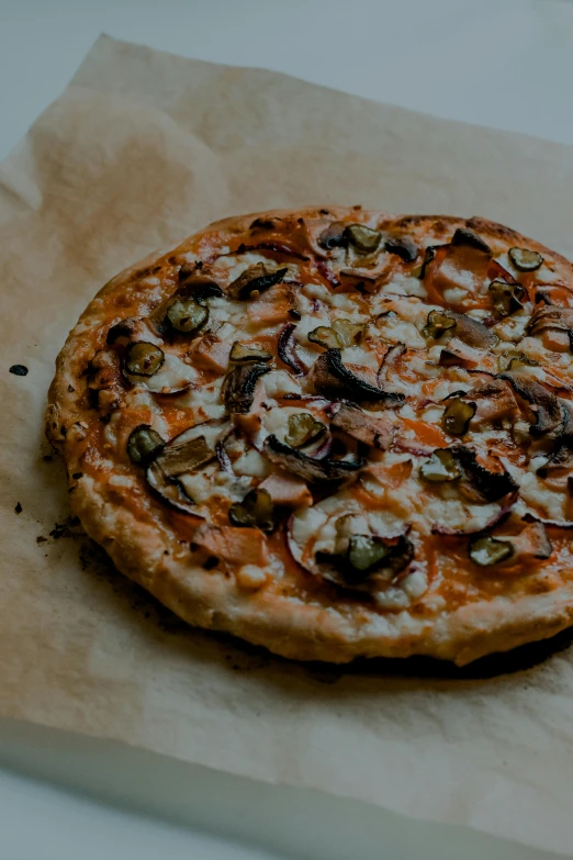 a pizza sitting on top of a piece of paper, extra pickles and onions, thumbnail, uncrop, woodfired