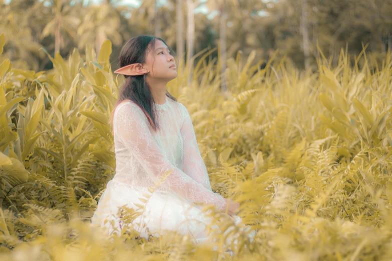 a woman sitting in a field of tall grass, unsplash, magical realism, elf ears, in a tropical forest, avatar image, young asian girl