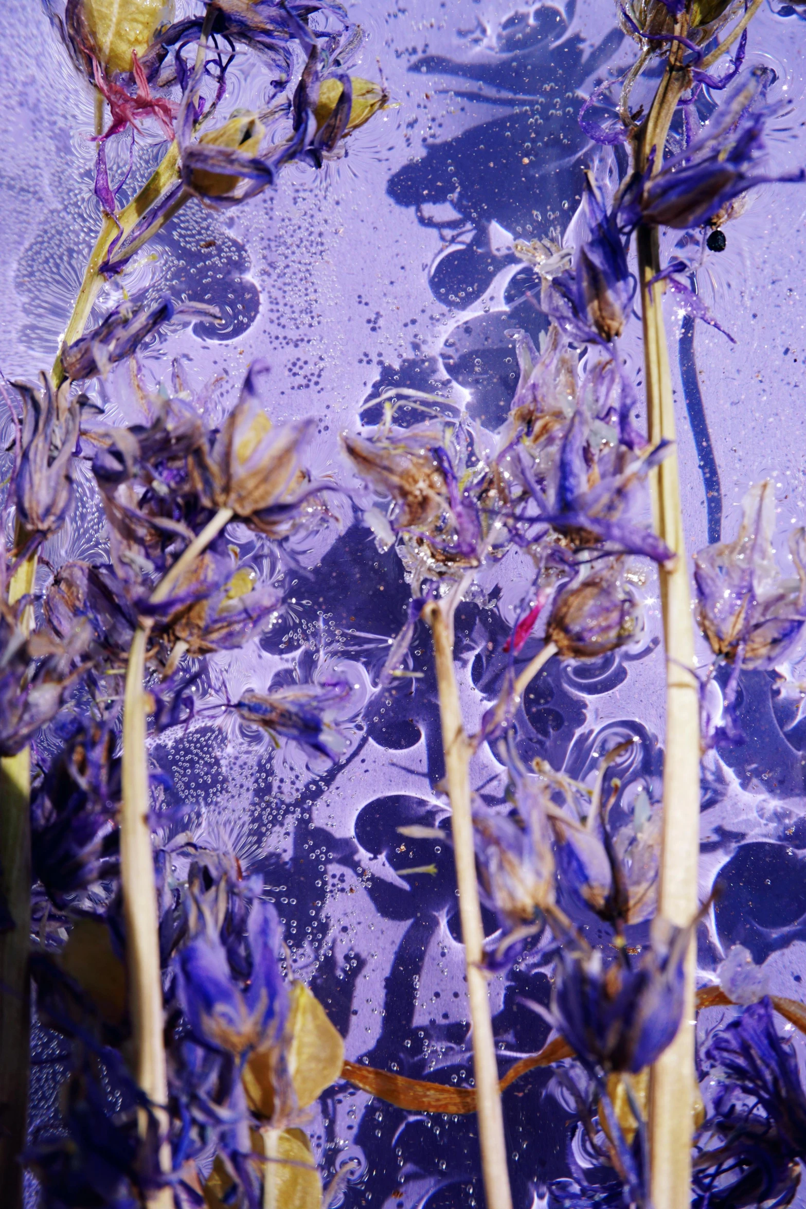 a bunch of purple flowers sitting on top of a table, a detailed painting, inspired by Yves Klein, unsplash, process art, resin, detail, splashing, hay